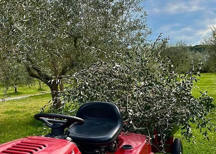 Sibolla Holidays