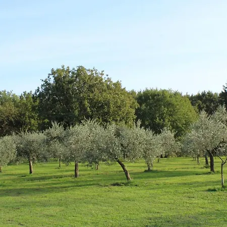 Sibolla Holidays Altopascio