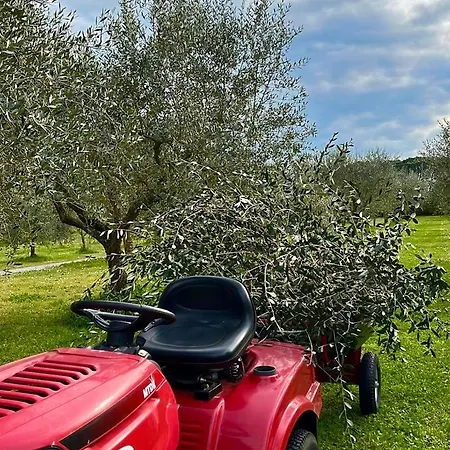 Sibolla Holidays