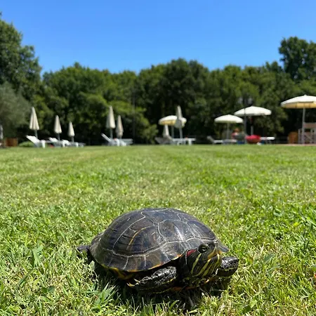 Sibolla Holidays Gasthuis Altopascio