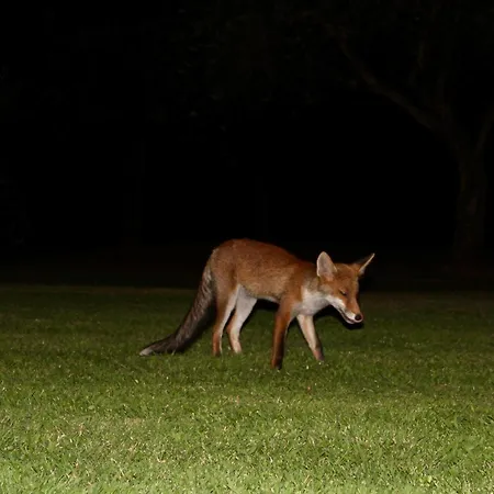 Sibolla Holidays 3* アルトパーショ